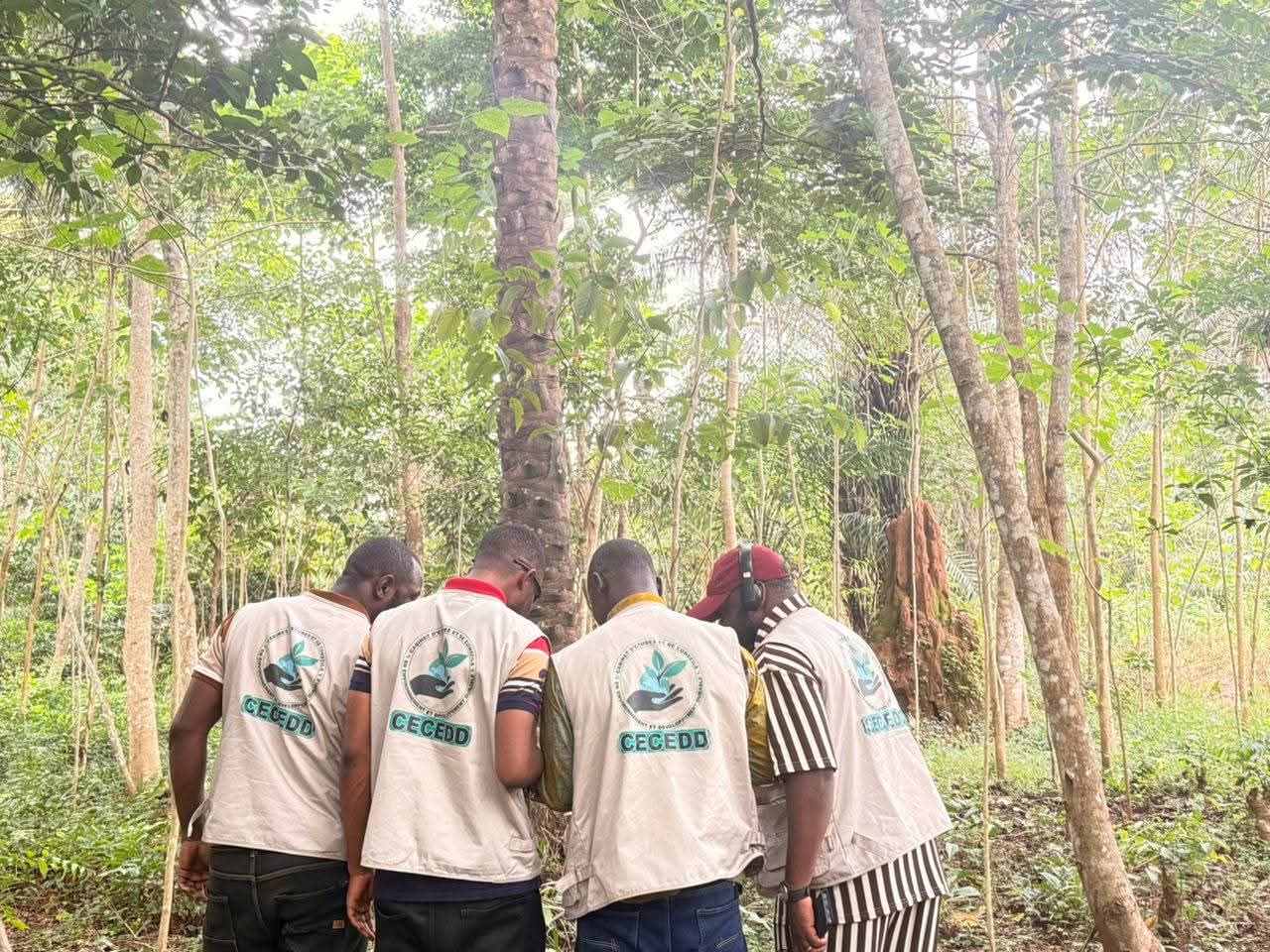 Mission forestière de terrain - équipe CECEDD